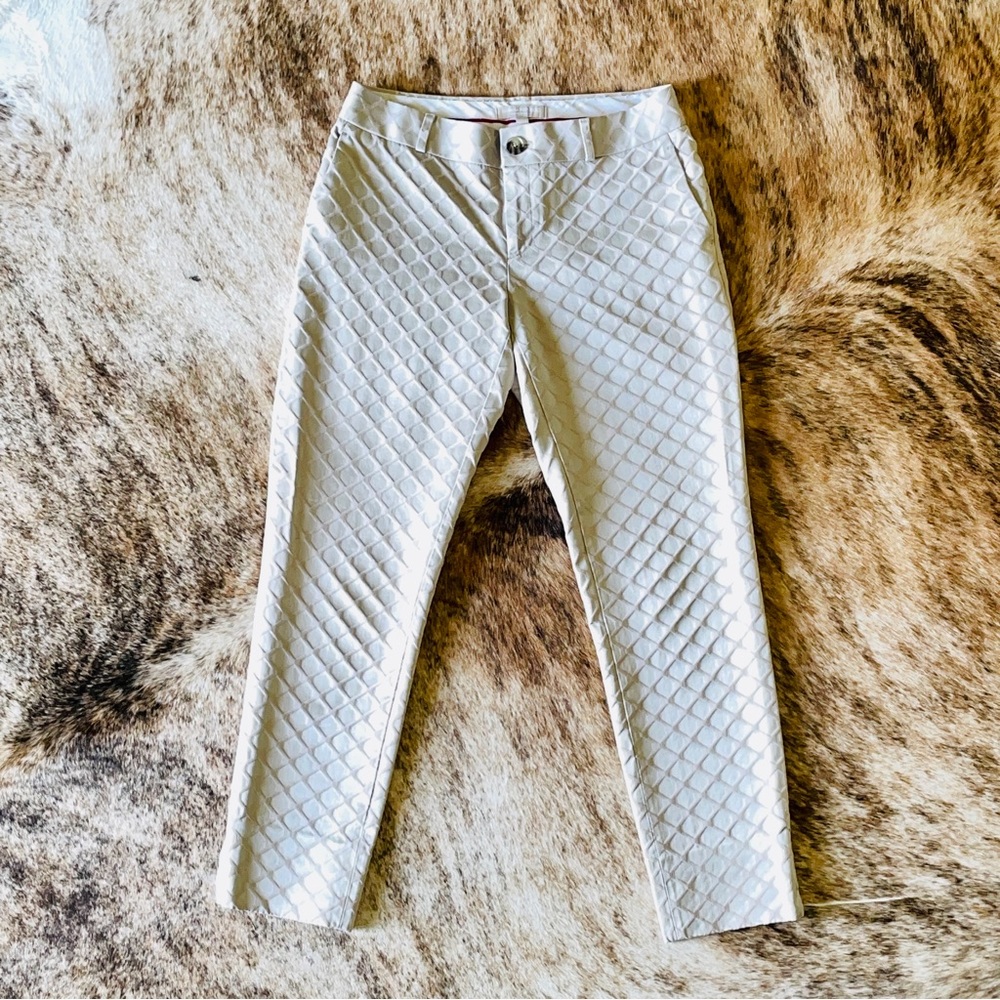 Banana Republic Camden Pants SZ 2 Sheen with a Matte pattern overlay